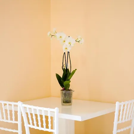 ゲストハウス Mere Family House Vlorë